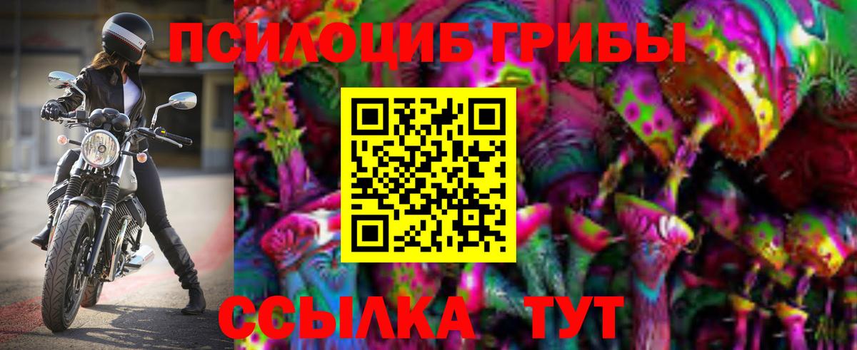 Гусев  Псилоцибиновые грибы Magic Shrooms  Псилоцибиновые грибы ЛСД  Вход с VPN 