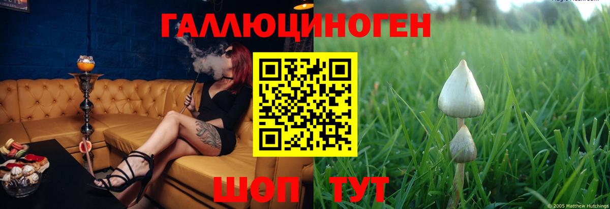 Псилоцибиновые грибы Magic Shrooms Гусев
